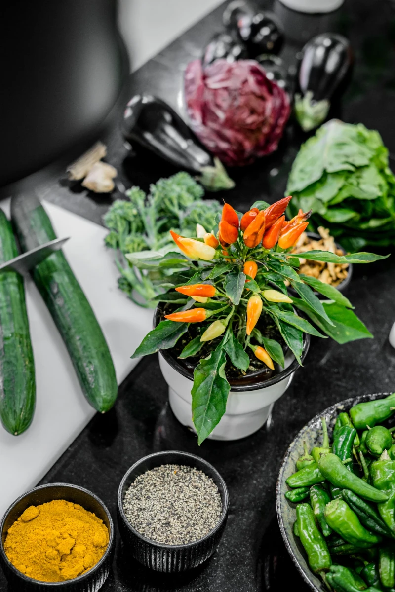 Bunte Gem&uuml;seauswahl mit frischen Kr&auml;utern und Gew&uuml;rzen f&uuml;r kulinarische Erlebnisse.