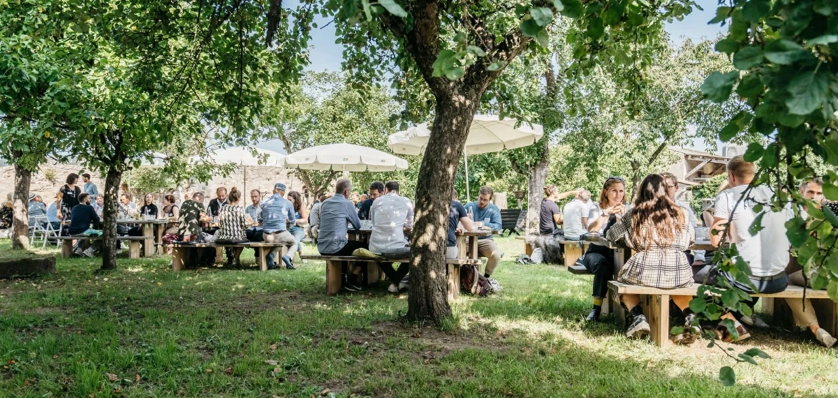 Sommerliche Au&szlig;enszene mit mehreren Personen, die an Holztischen unter B&auml;umen sitzen. Entspannte Atmosph&auml;re in einem gr&uuml;nen Garten mit wei&szlig;en Sonnenschirmen und B&auml;umen, die Schatten spenden.