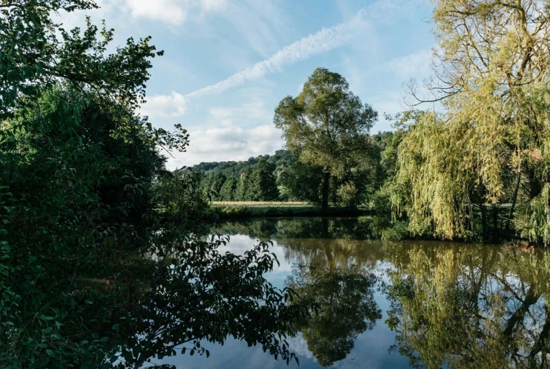 Ruhige Wasserfl&auml;che umgeben von gr&uuml;nen B&auml;umen wie Weiden und Laubb&auml;umen. Der Himmel ist blau mit leichten Wolkenstrukturen, und die B&auml;ume spiegeln sich klar im spiegelglatten Wasser wider.