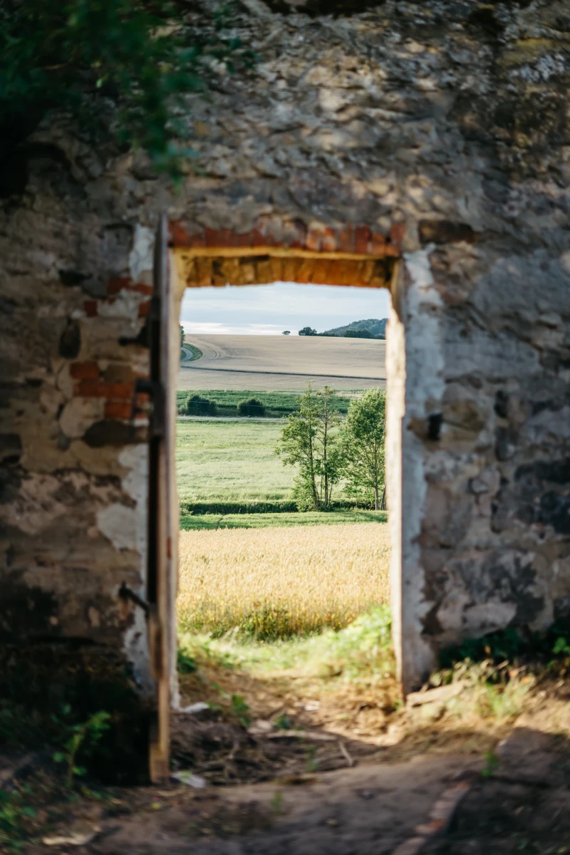Rustikale Steinmauer mit T&uuml;r&ouml;ffnung, die den Blick auf eine weite, gr&uuml;ne Landschaft mit Feldern und einem einsamen Baum freigibt. Die Szene vermittelt eine friedvolle, l&auml;ndliche Atmosph&auml;re mit sanften H&uuml;geln und &uuml;ppigem Gr&uuml;n im Hintergrund.